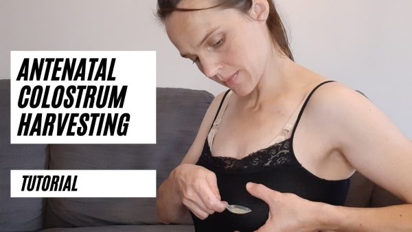 Antenatal Colostrum Harvesting