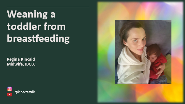 Weaning a toddler from breastfeeding